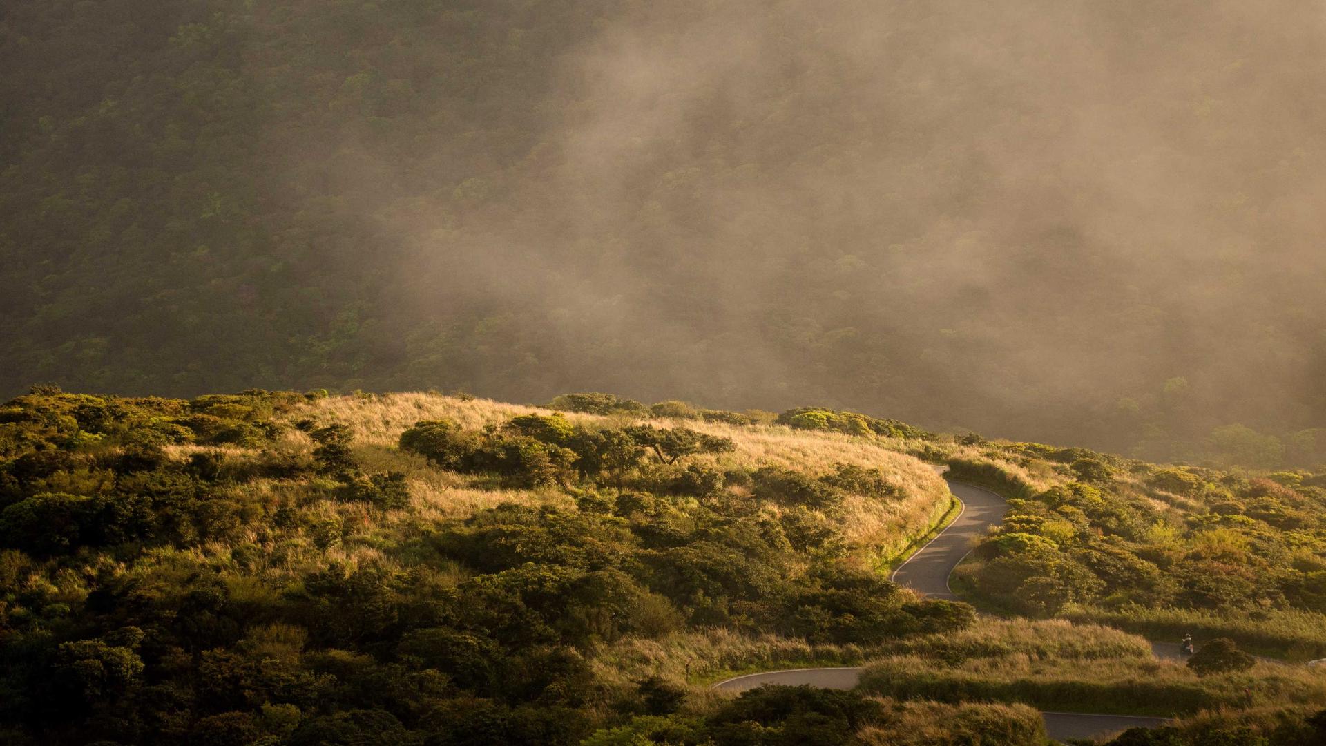 Governance: Transparenz, KPIs und Entscheidungsgeschwindigkeit #7